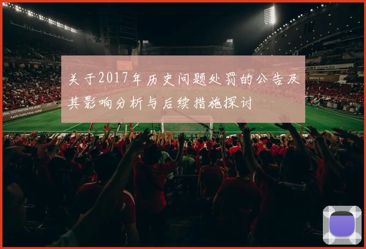 关于2017年历史问题处罚的公告及其影响分析与后续措施探讨